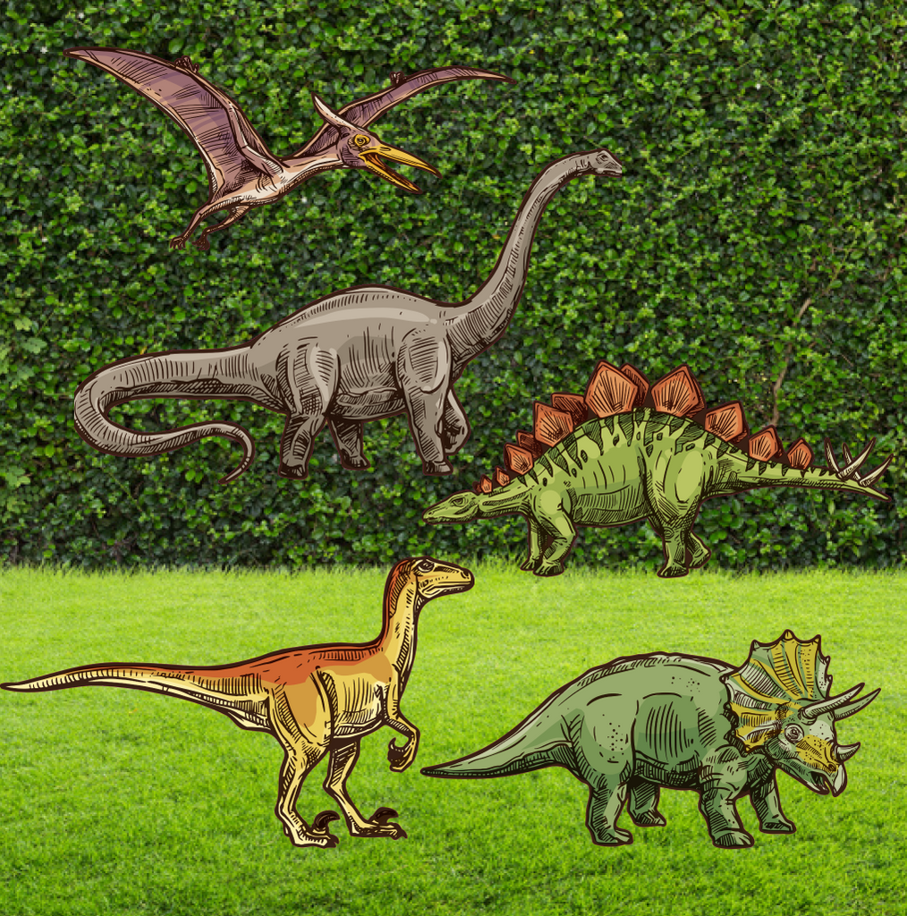 Dinosaur 5 Piece Cut Out Set